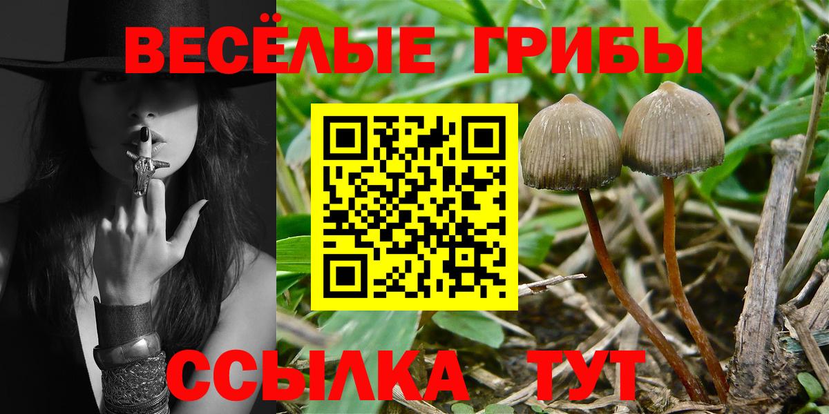 Галлюциногенные грибы мицелий Ленинск-Кузнецкий