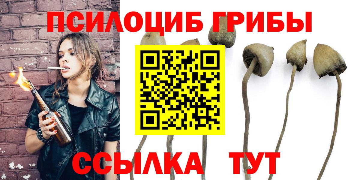 Ленинск-Кузнецкий  Псилоцибиновые грибы мухоморы  Псилоцибиновые грибы мухоморы  Вход с VPN 